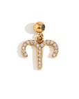 Zodiac Sign Charms